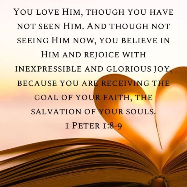 226990067ab272c2fdcedaff916b0132