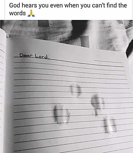 54730015_2591400857541603_8712380244138393600_n